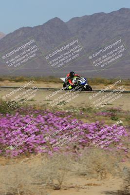 media/Feb-04-2023-SoCal Trackdays (Sat) [[8a776bf2c3]]/Turn 15 Inside Blooming (1050am)/